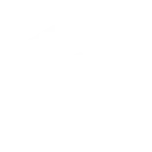 Node.js runtime