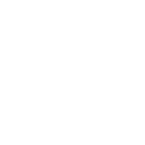 Vue.js framework