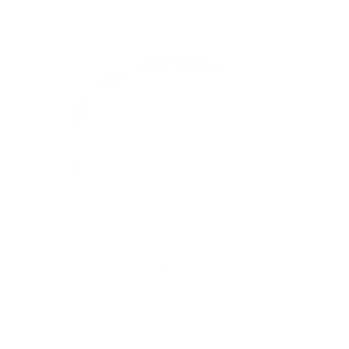 WordPress CMS