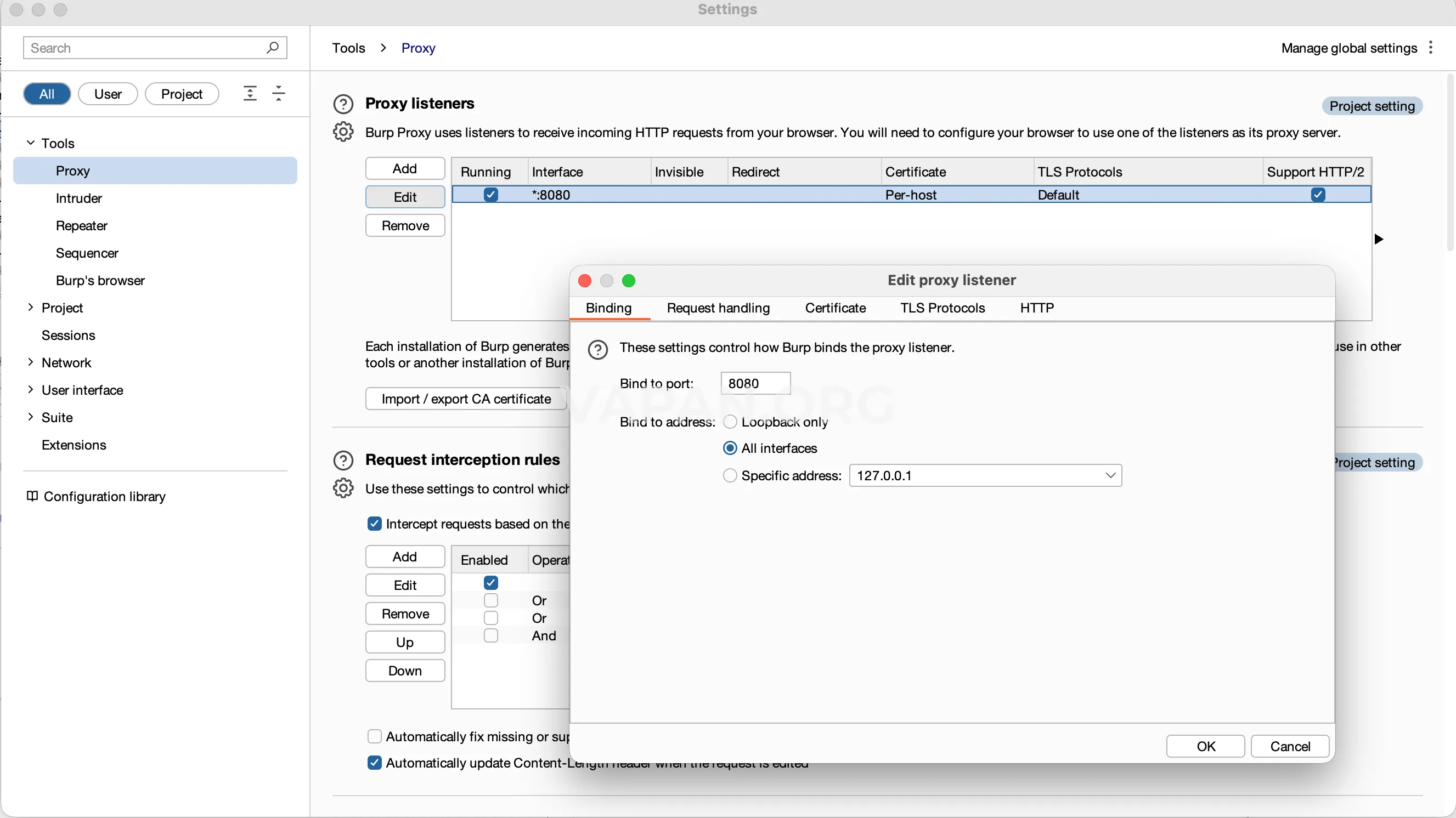 Налаштування проксі в Burp Suite Налаштування інтерфейсів Burp Suite